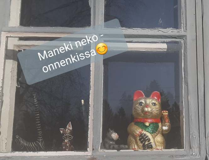 onnenkissa