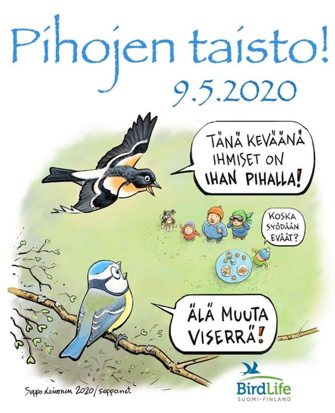 pihojen taisto
